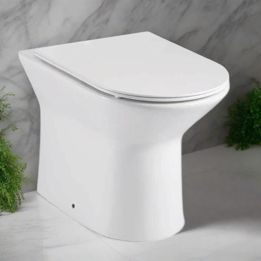 '- Amara Pickering Back to Wall Toilet in White - Coa Living