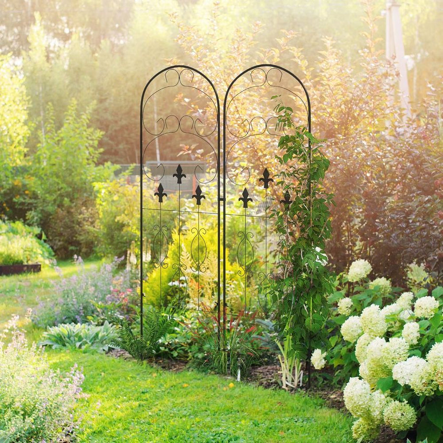 S0671391617 - Outsunny Set of 2 Metal Trellis for Climbing Plants, Scrolls Design - Coa Living