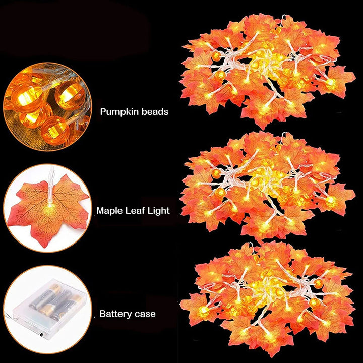 14:202422806#Pumpkin Leaf A;5:361385#1.5M 10LED - Howden Field 20 LED Autumn Maple Leaf Fairy Lights - Coa Living