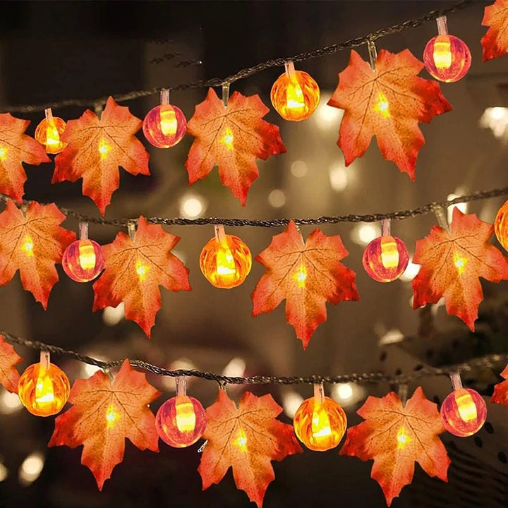 14:202422806#Pumpkin Leaf A;5:361385#1.5M 10LED - Howden Field 20 LED Autumn Maple Leaf Fairy Lights - Coa Living