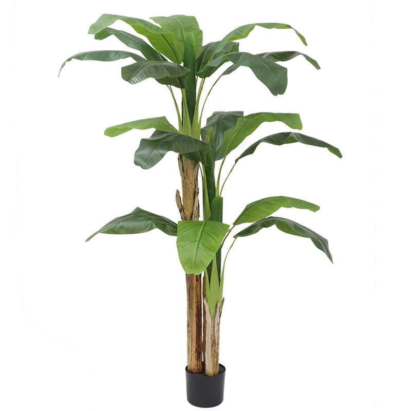 14:202888825#120CM;5:200000990#With Pot - Artificial Banana Tree Plant - Coa Living