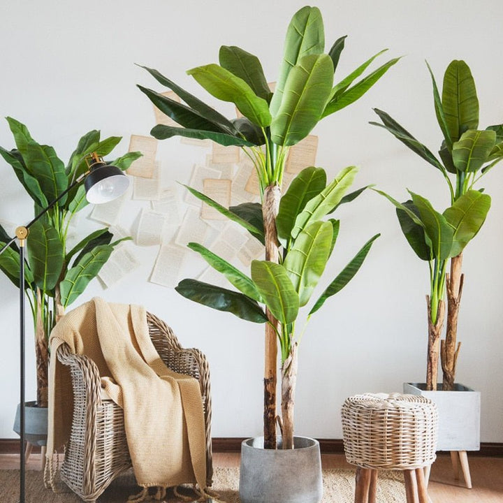 14:202888825#120CM;5:200000990#With Pot - Artificial Banana Tree Plant - Coa Living