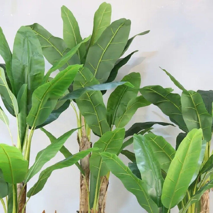 14:202888825#120CM;5:200000990#With Pot - Artificial Banana Tree Plant - Coa Living