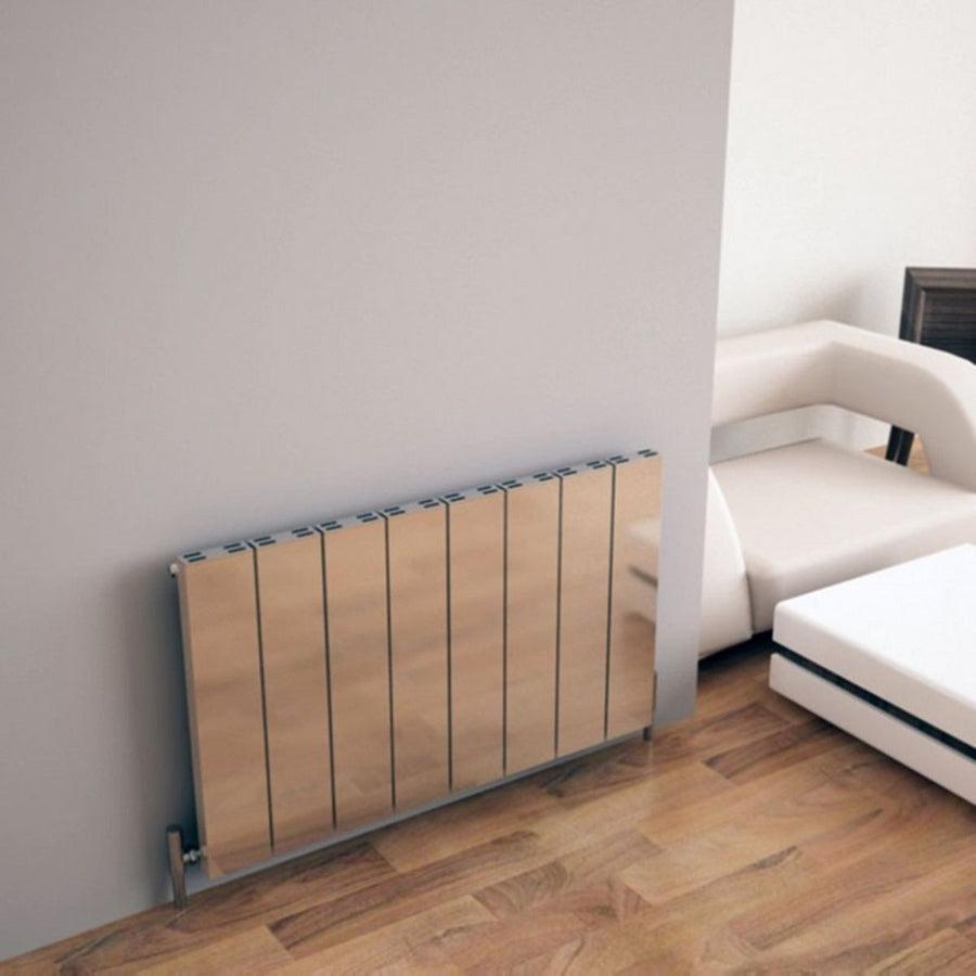 ELV 0370180003 PLS - Carisa Elvino Central Heating Radiator in Polished Anodised Aluminium - Coa Living