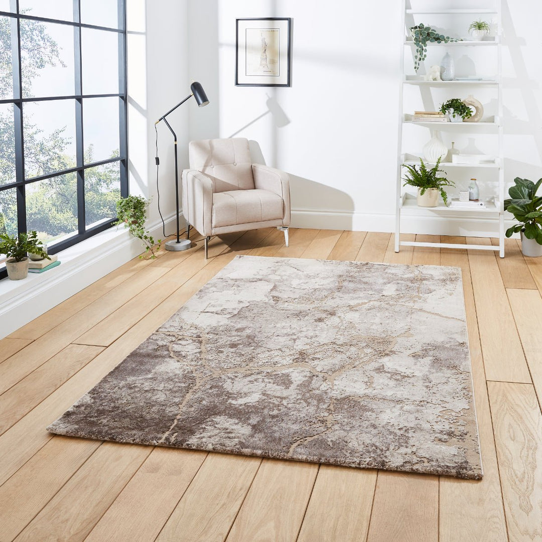 FLO50032BGESLVR1217 - Florence 50032 Woven High Density Rug - Coa Living