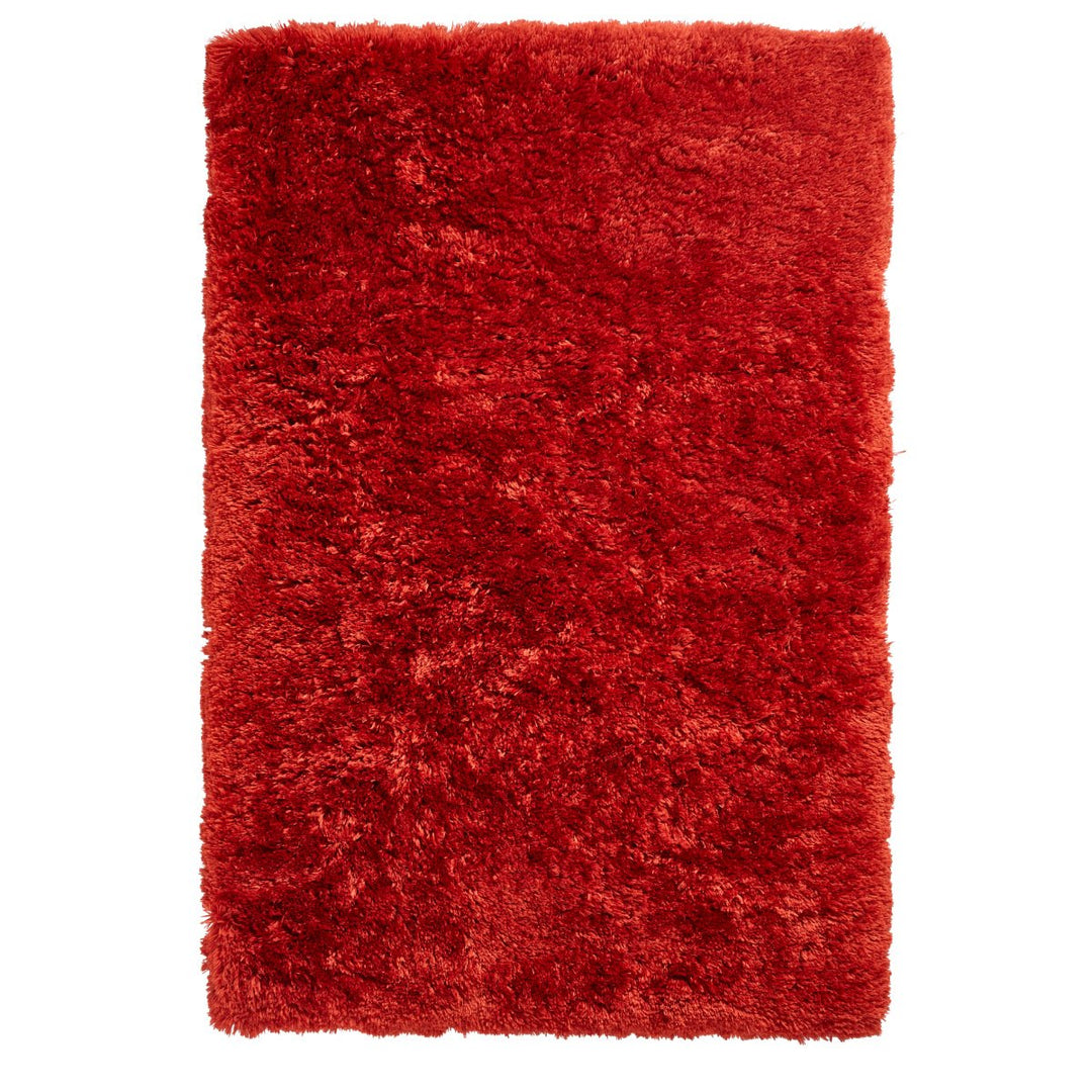 PL95TERRA-60X120 - Polar PL 95 Hand Tufted Shaggy Rug - Coa Living