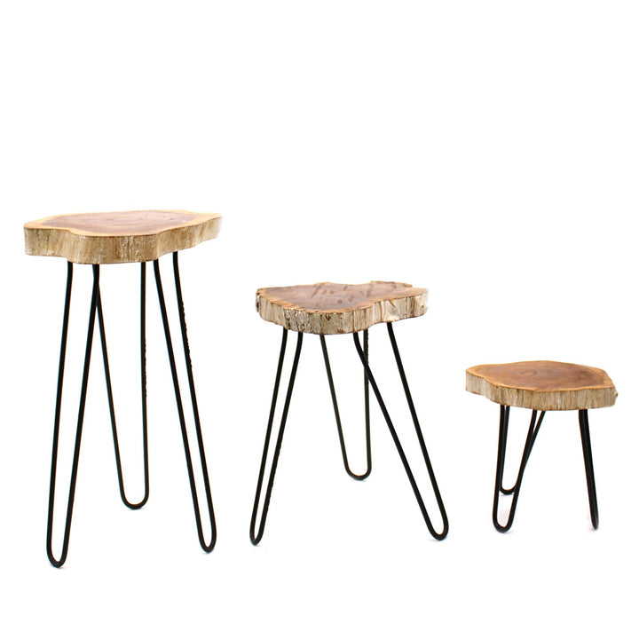 PSS-01 - Set of 3 Gamal Wood Plant Stands - Coa Living