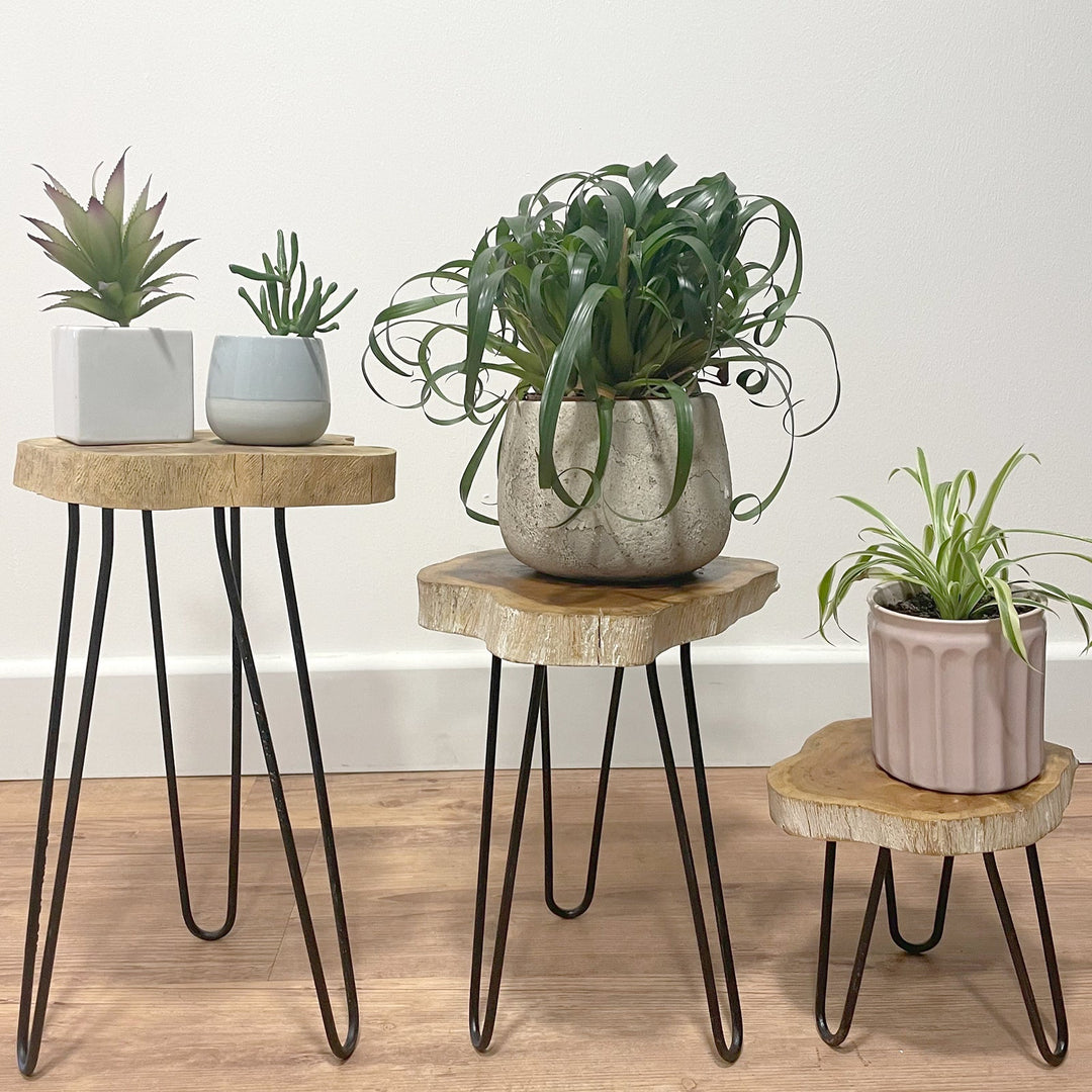 PSS-01 - Set of 3 Gamal Wood Plant Stands - Coa Living